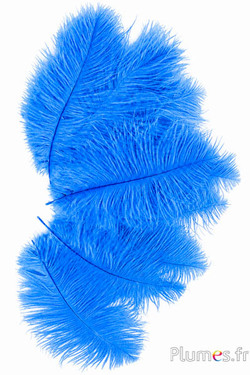Struzzo - 13-18 cm - turchese